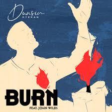 Burn Cover Art_Dunsin Oyekan
